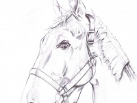 cheval