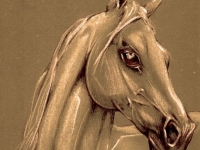 cheval2.jpg