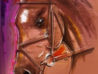 Horses