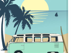 VOLKSWAGEN Combi T1 vert