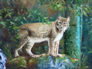 Le lynx à l'orée de la forêt